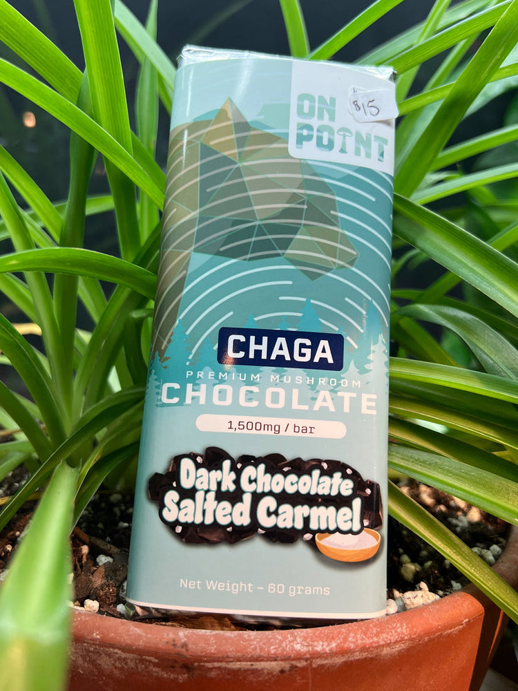 ON POINT | Chaga Dark Chocolate Salted Caramel | Overall Health Bar