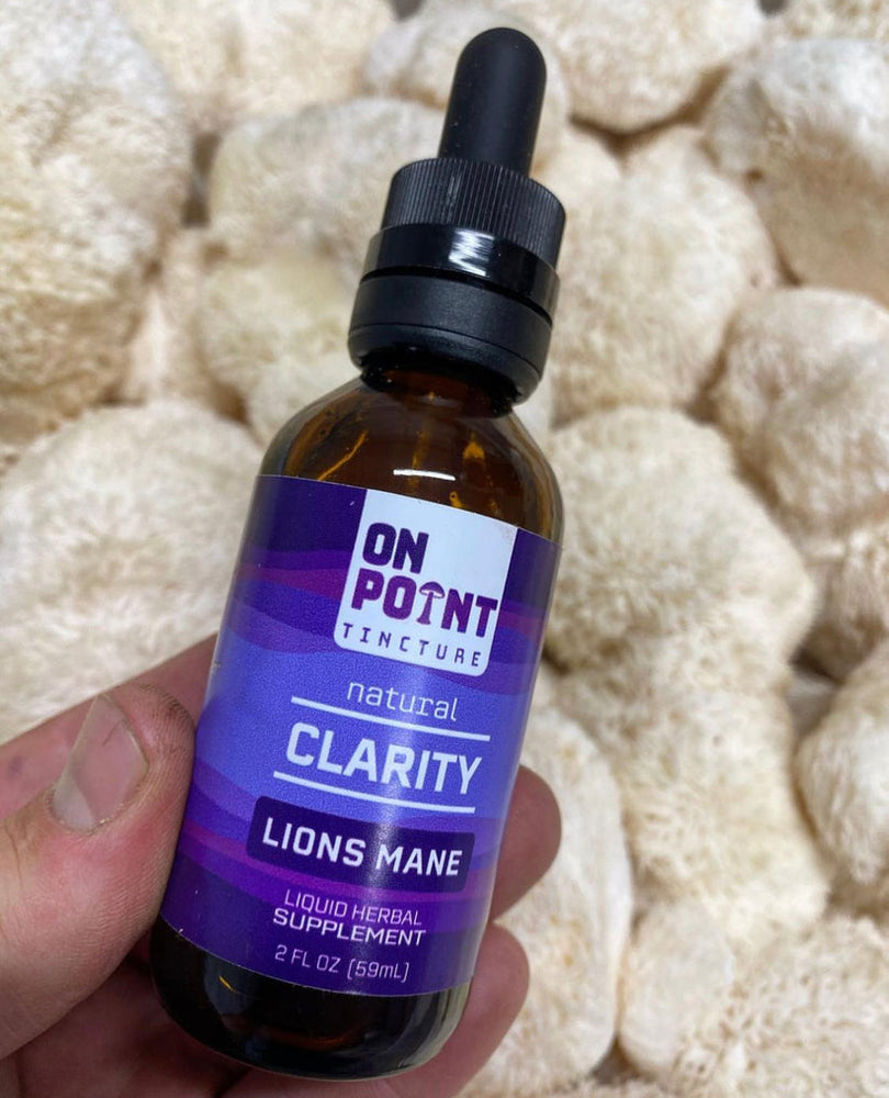 ON POINT | 3900mg Lions Mane | Brain Boost Tincture