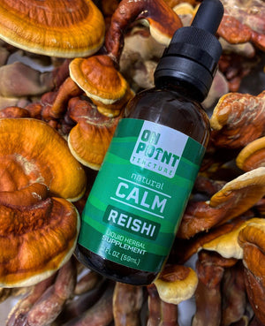 
            
                Load image into Gallery viewer, ON POINT | 3900mg Reishi | Calming Tincture
            
        